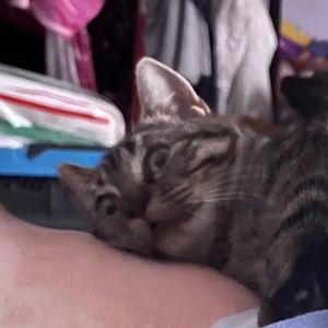 Meet your Posher, Kay